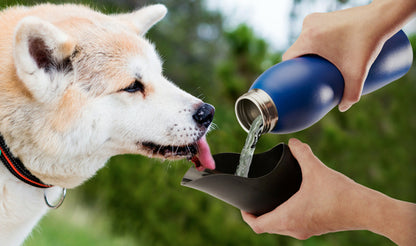 Mobile Dog Gear 25 Oz Water Bottle