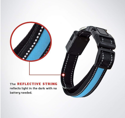 USB and Solar Charge Reflective Led Dog Collar